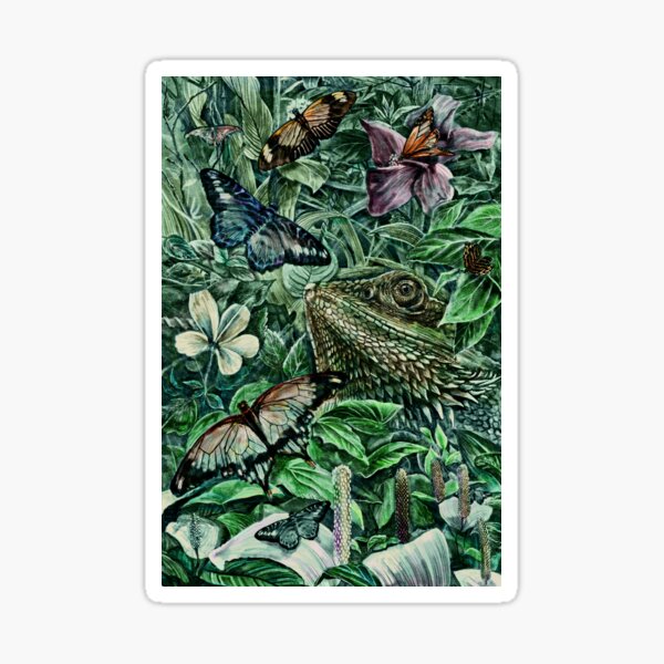 Bearded Dragon and Butterflies - Colour Sticker