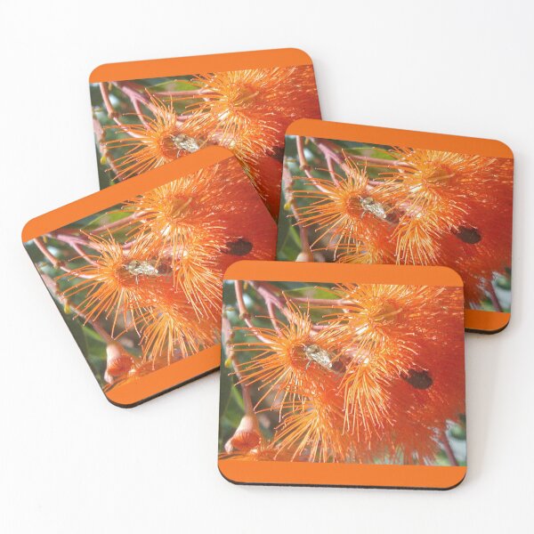 Item preview, increíble castaño designed and sold by KazM.