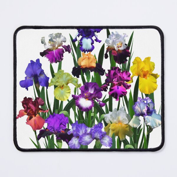 Item preview, Iris Garden On White designed and sold by rvjames.