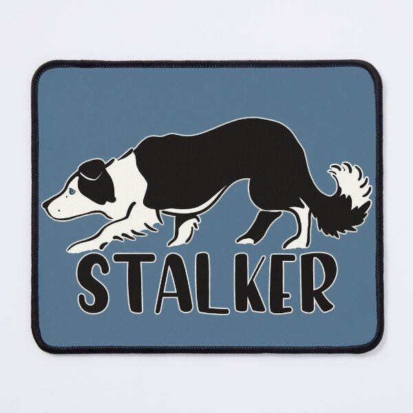 Item preview, Bordercollie Stalker Sticker designed and sold by Palooke76.