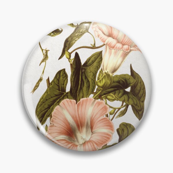 Item preview, Vintage Botanic Print, Vintage Red Flower, Vintage Floral Print  designed and sold by Dal Thibian.