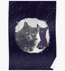 Cats in love. grey and black / photo of cute couple of cats Poster
