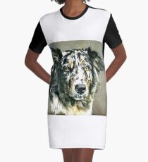 Shep Dresses