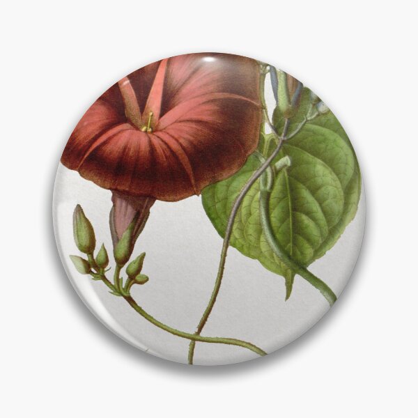 Item preview, Vintage Botanic Print, Vintage Red Flower, Vintage Floral Print  designed and sold by Dal Thibian.