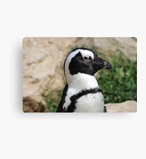 Penguin Canvas Print