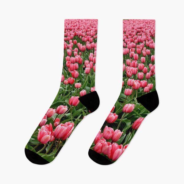Artikelvorschau, FLORA #21 – Feld mit rosa Tulpen entworfen und verkauft von DEL-Productions.