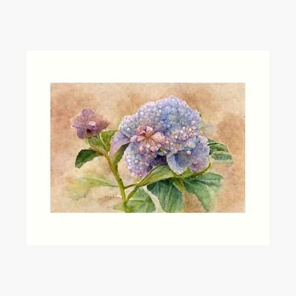 Item preview, Vintage Watercolor Hydrangea Flowers designed and sold by Daland4vfx.