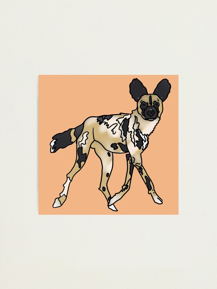 "African Painted Dog Cartoon" Photographic Print for Sale by