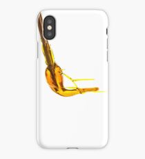 Paintbrush iPhone Case