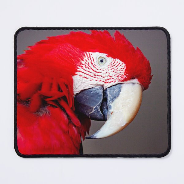 Item preview, ANIMALS #2 - Stunning Red Parrot designed and sold by DEL-Productions.