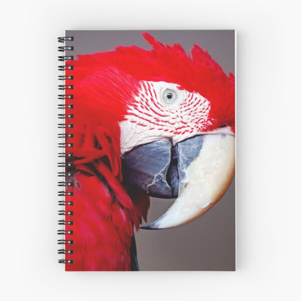 Item preview, ANIMALS #2 - Stunning Red Parrot designed and sold by DEL-Productions.