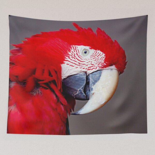 Item preview, ANIMALS #2 - Stunning Red Parrot designed and sold by DEL-Productions.