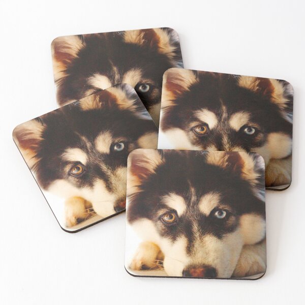Item preview, ANIMALS #3 - Cute Siberian Husky with Gold and Blue Eyes designed and sold by DEL-Productions.