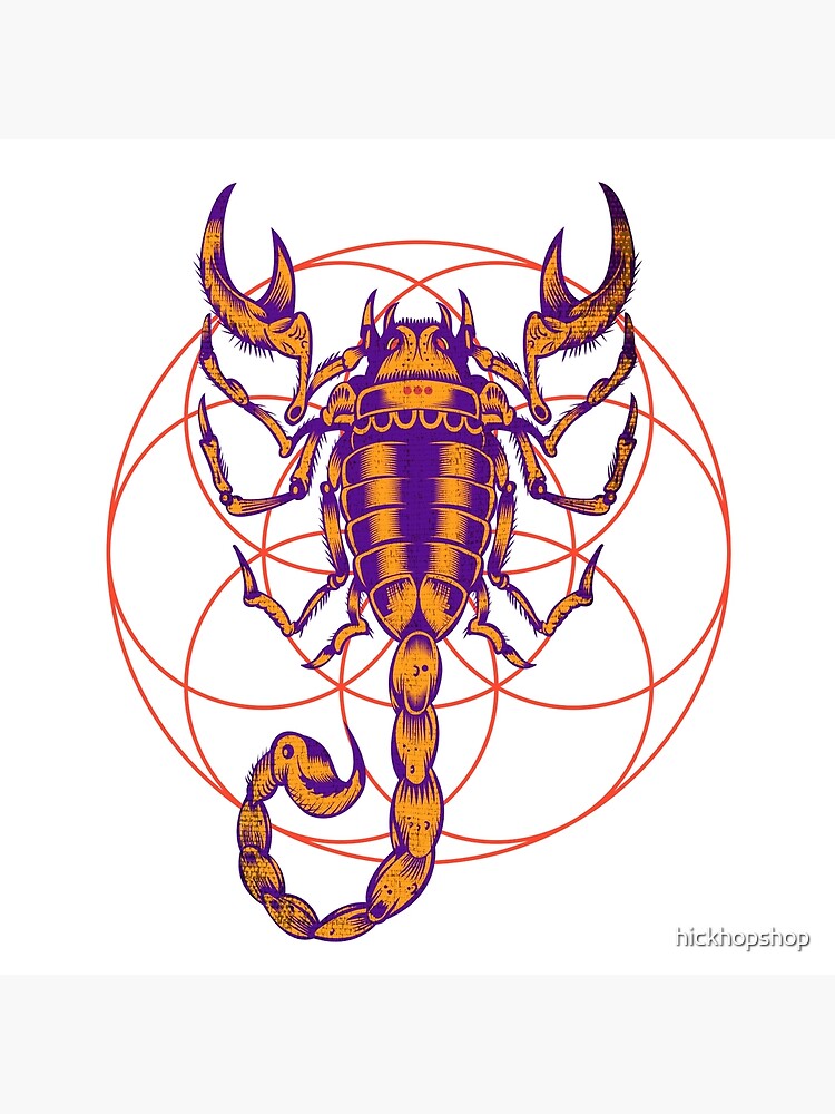 Scorpio Zodiac Horoscope Birth Sign Oct 23 Oct 22 Poster