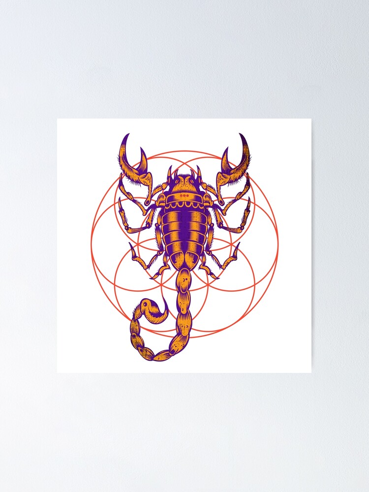 Scorpio Zodiac Horoscope Birth Sign Oct 23 Oct 22 Poster