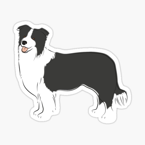 Just A Border Collie Sticker