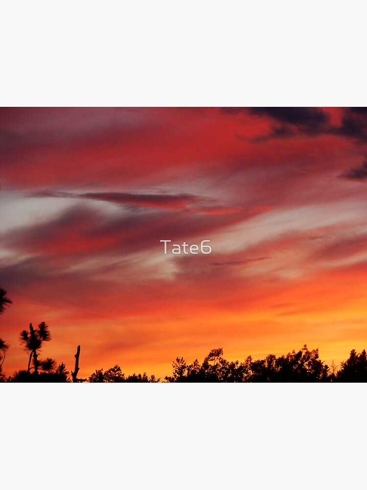 Color by Tate6