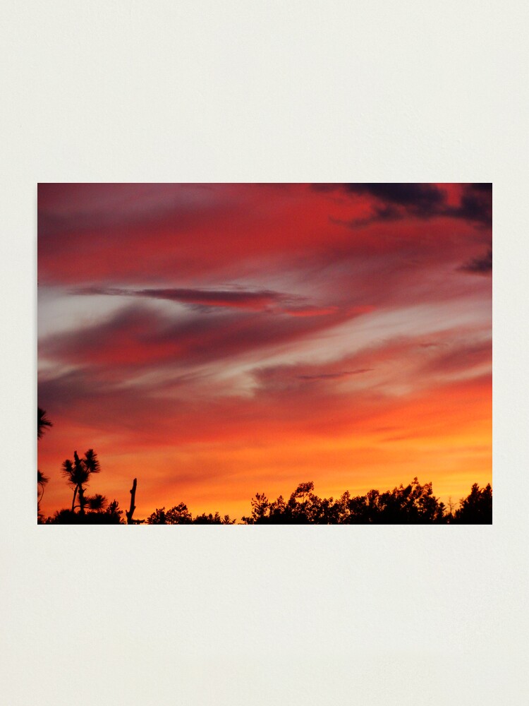Alternate view of Color Photographic Print