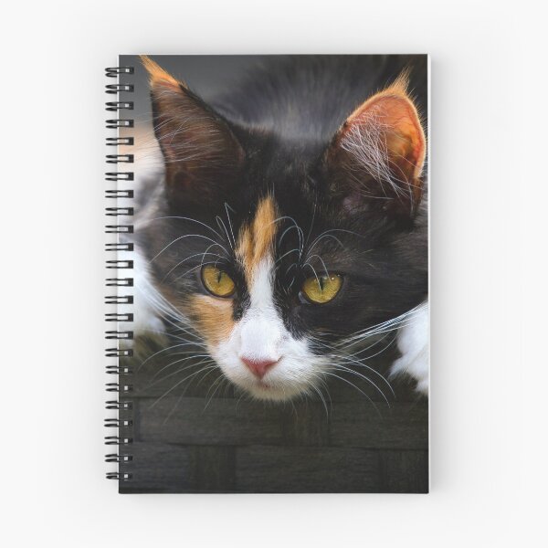 Item preview, ANIMALS #8 - Calico Cat Curiosity designed and sold by DEL-Productions.