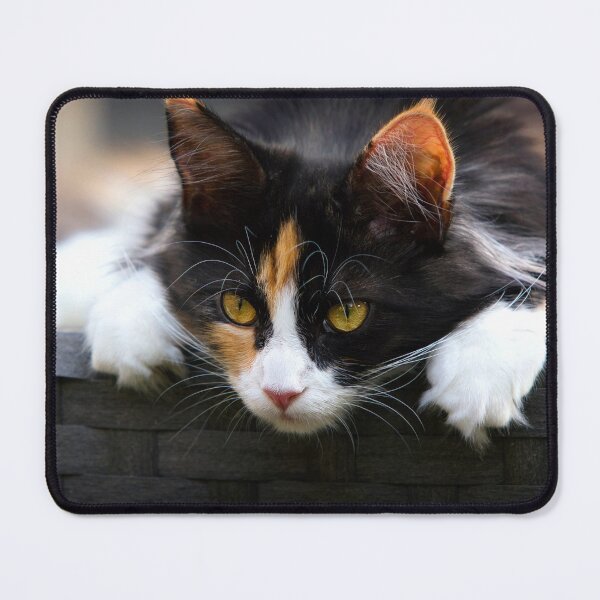 Item preview, ANIMALS #8 - Calico Cat Curiosity designed and sold by DEL-Productions.