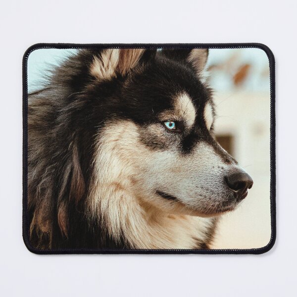 Item preview, ANIMALS #9 - Stately Siberian Husky designed and sold by DEL-Productions.
