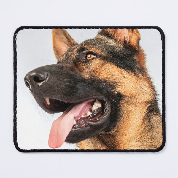 Item preview, ANIMALS #10 - Magnificent German Shepherd Portrait designed and sold by DEL-Productions.
