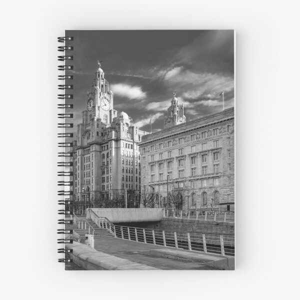 Item preview, Liver And Cunard Buildings Liverpool designed and sold by StephenJSmith.