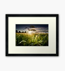 Green Isle Sunset Framed Print