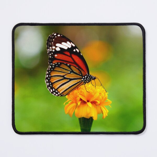 Item preview, ANIMALS #12 - Butterfly Atop Orange Flower designed and sold by DEL-Productions.