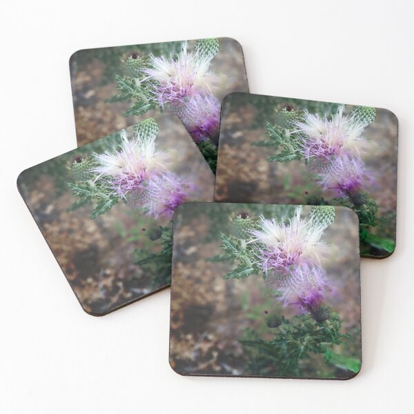 Item preview, Thistle in the High Desert designed and sold by Marielle Valenzuela.