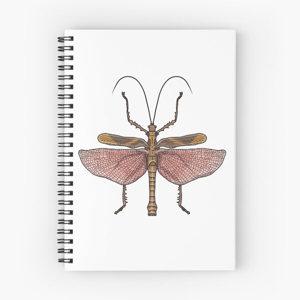 Item preview, Male pink green stick insect designed and sold by Artbychb.