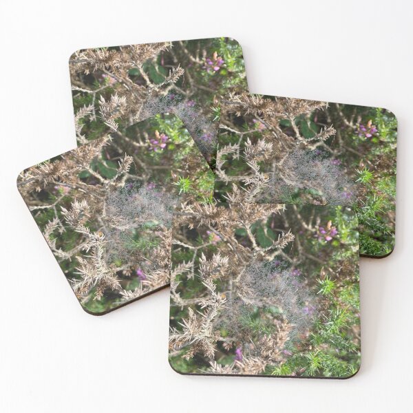 Item preview, Tangle of Spiders Web between Plants designed and sold by Sinemathk.
