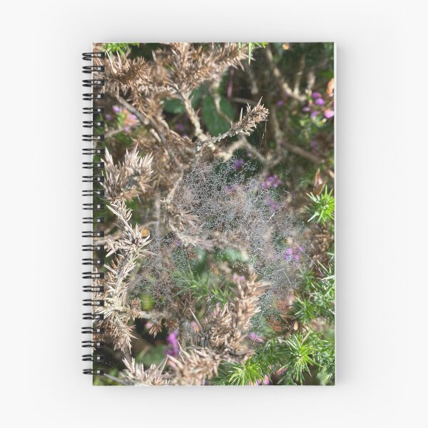 Item preview, Tangle of Spiders Web between Plants designed and sold by Sinemathk.