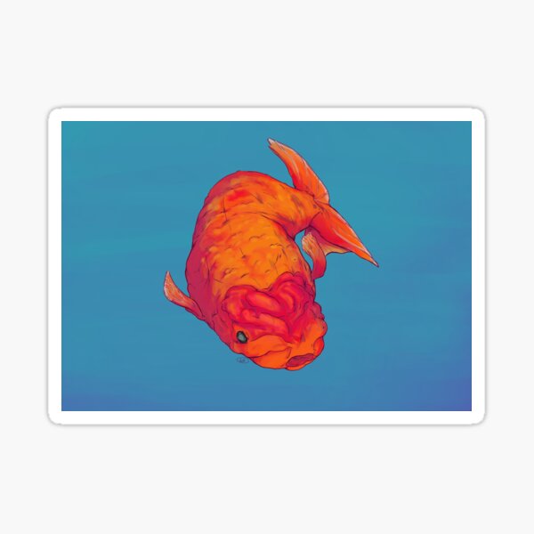 Vista previa del artículo con la obra «Ranchu Goldfish con fondo», diseñado y vendido por Inf4043.