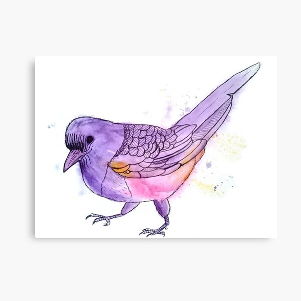 Young Magpie in Purple Metal Print