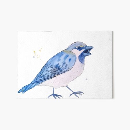 Blue Sparrow with Attitude Art Board Print