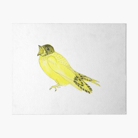 Yellow Soprano Swallow Art Board Print