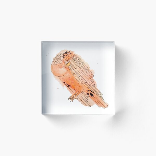 Vain Raven in Orange Acrylic Block