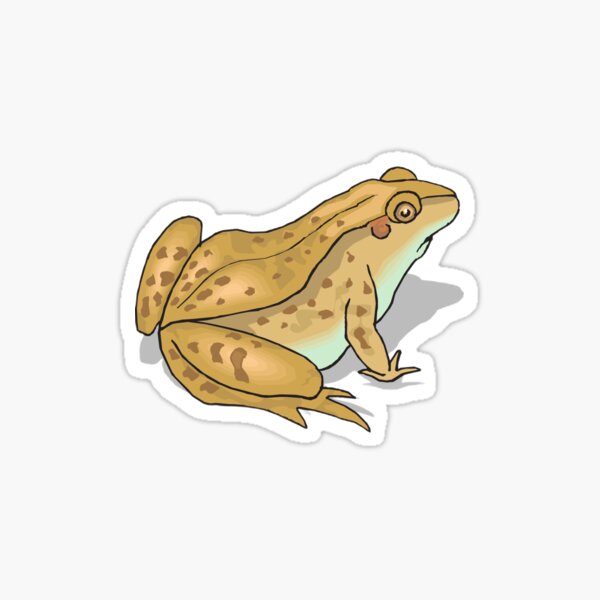 Frog Butt Simple Sticker For Sale By Lasalvador Redbubble