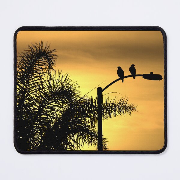 Item preview, Morning Light, A Bird's Delight designed and sold by CarolM.