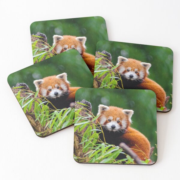 Item preview, ANIMALS #17 - Adorable Red Panda in Tree designed and sold by DEL-Productions.