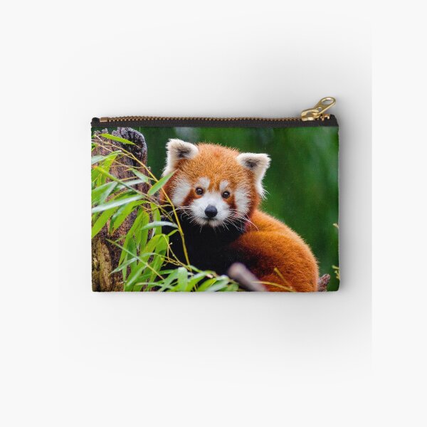 Item preview, ANIMALS #17 - Adorable Red Panda in Tree designed and sold by DEL-Productions.