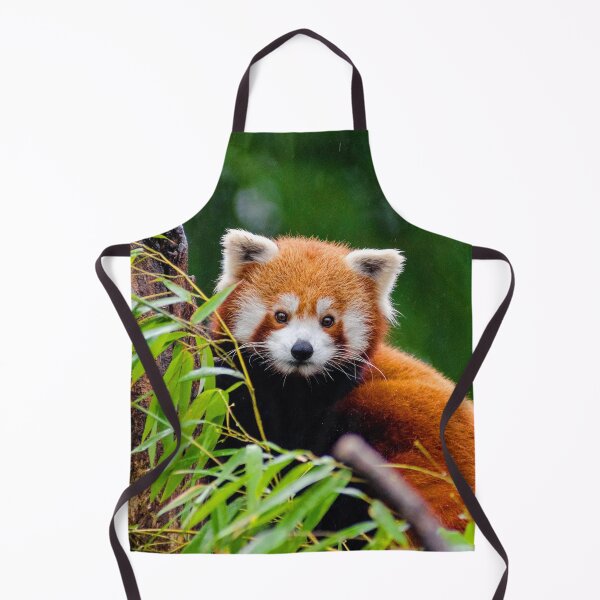 Item preview, ANIMALS #17 - Adorable Red Panda in Tree designed and sold by DEL-Productions.