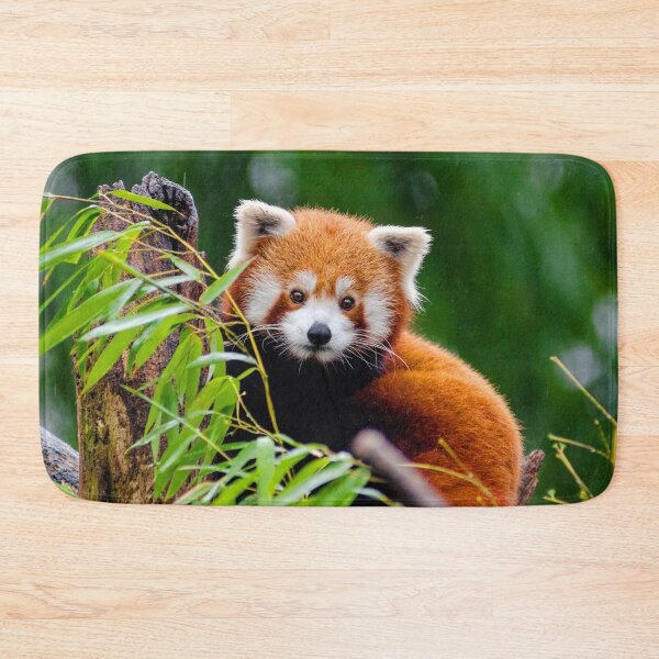 Item preview, ANIMALS #17 - Adorable Red Panda in Tree designed and sold by DEL-Productions.