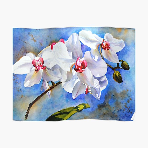 Dancing Orchids Poster