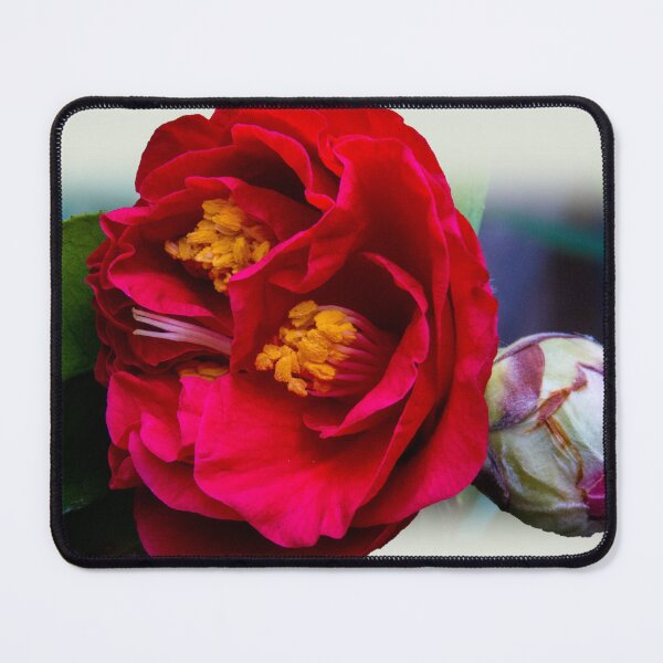 Item preview, First camellia designed and sold by indiafrankk.