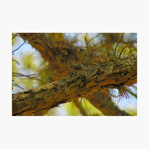 X - Marks the Spot Photographic Print