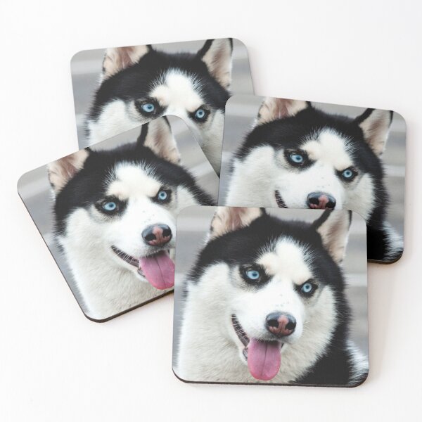 Item preview, ANIMALS #23 - Perky Siberian Husky with Tongue Hanging Out designed and sold by DEL-Productions.