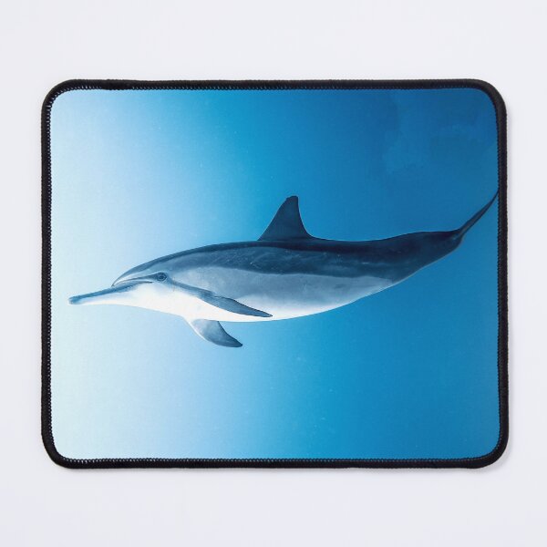Item preview, ANIMALS #24 - Spinner Dolphin designed and sold by DEL-Productions.