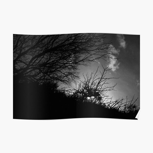 Looming shadow Poster